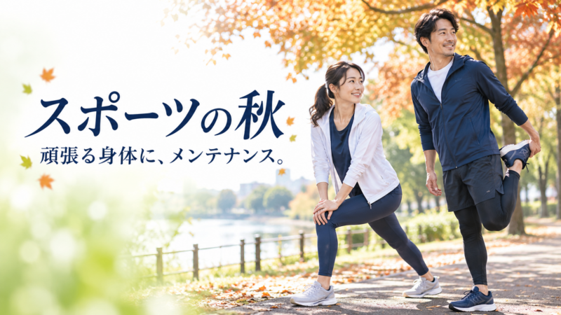 秋の公園で心地よくストレッチする男女。スポーツの秋、頑張る身体にメンテナンス。